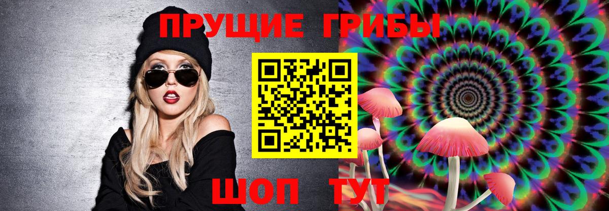 Псилоцибиновые грибы GOLDEN TEACHER  Вход с VPN  Красноярск 