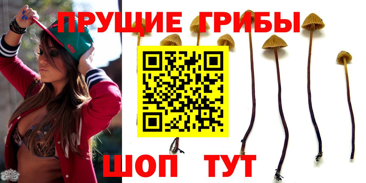 Псилоцибиновые грибы мухоморы Красноярск